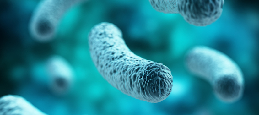 Legionella: What HSE Says You Need to Know